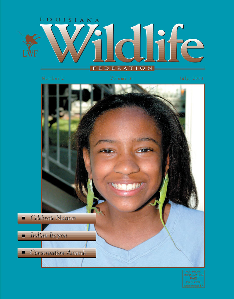 2003 Summer vol 31 cover