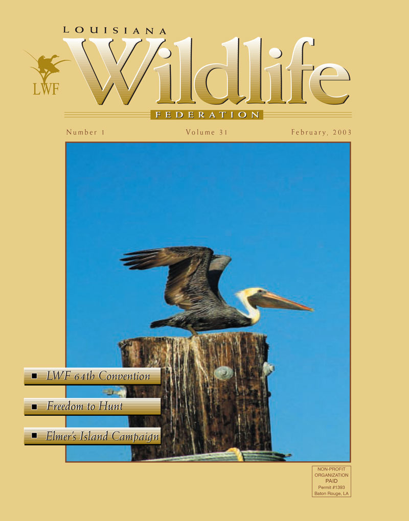 2003 Winter Vol. 31 Cover