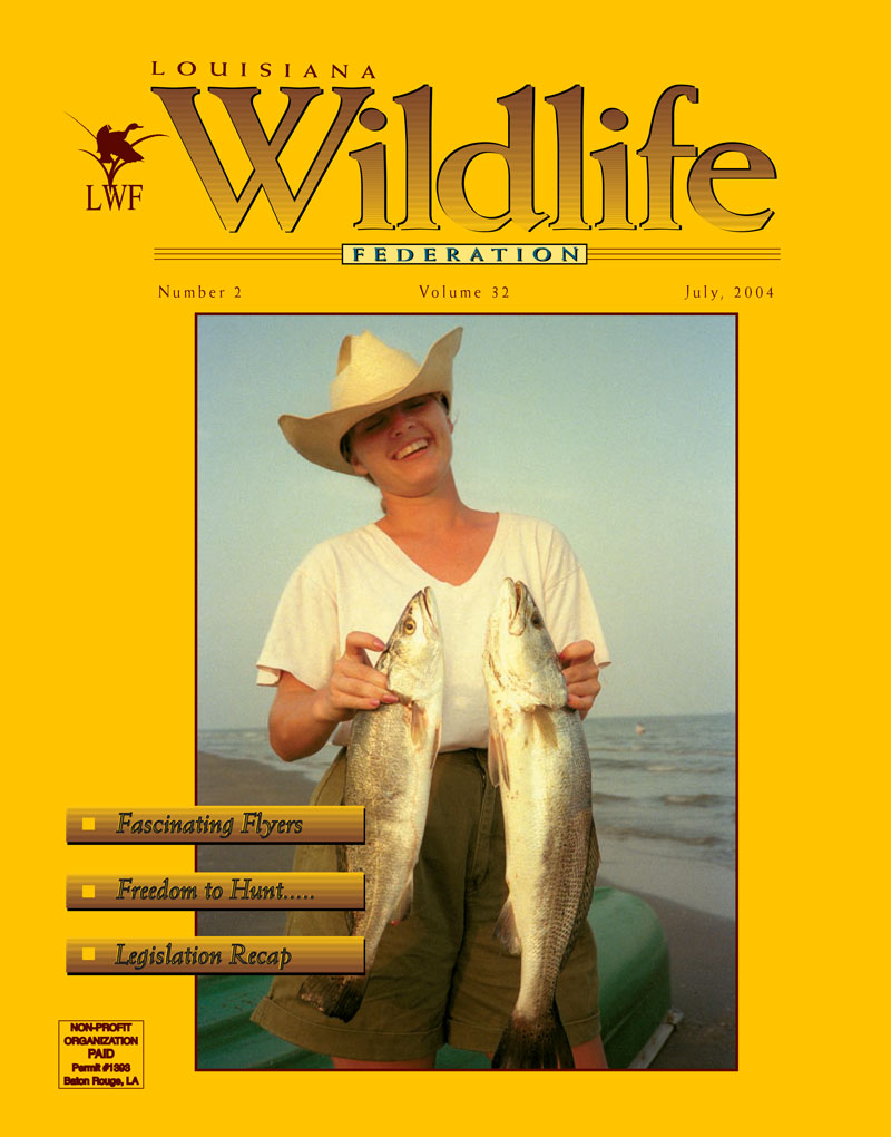 2004 Summer Vol 32 cover