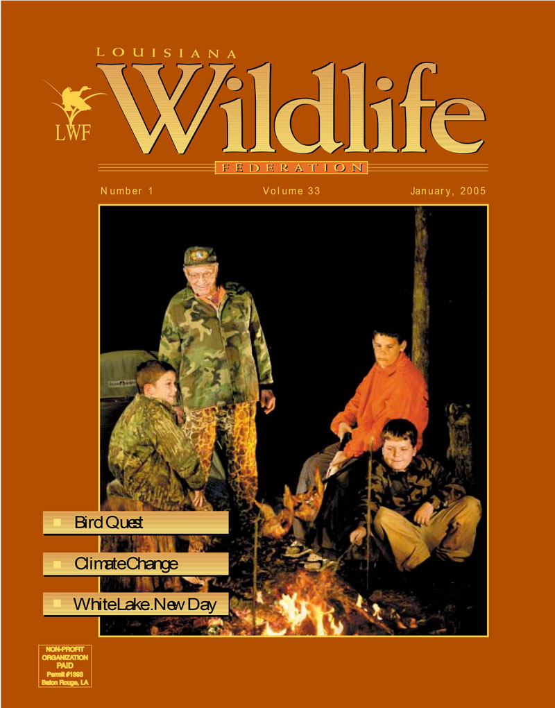 2005 Winter Vol. 33 cover