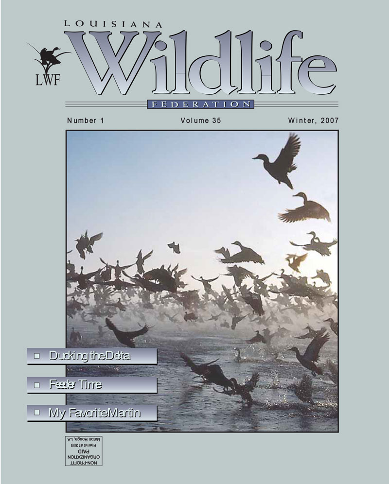 2007 Winter Vol. 35 cover