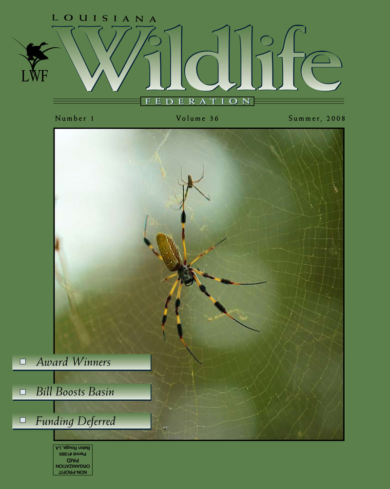 2008 Summer Vol. 36 cover