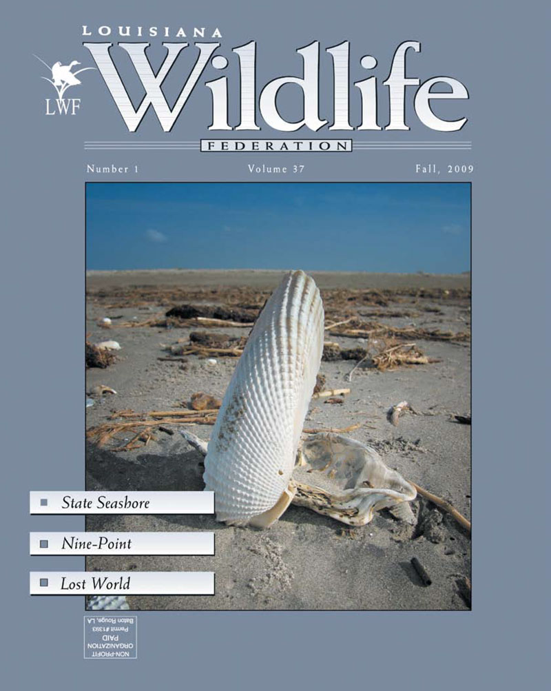 2009 Fall Vol. 37 cover