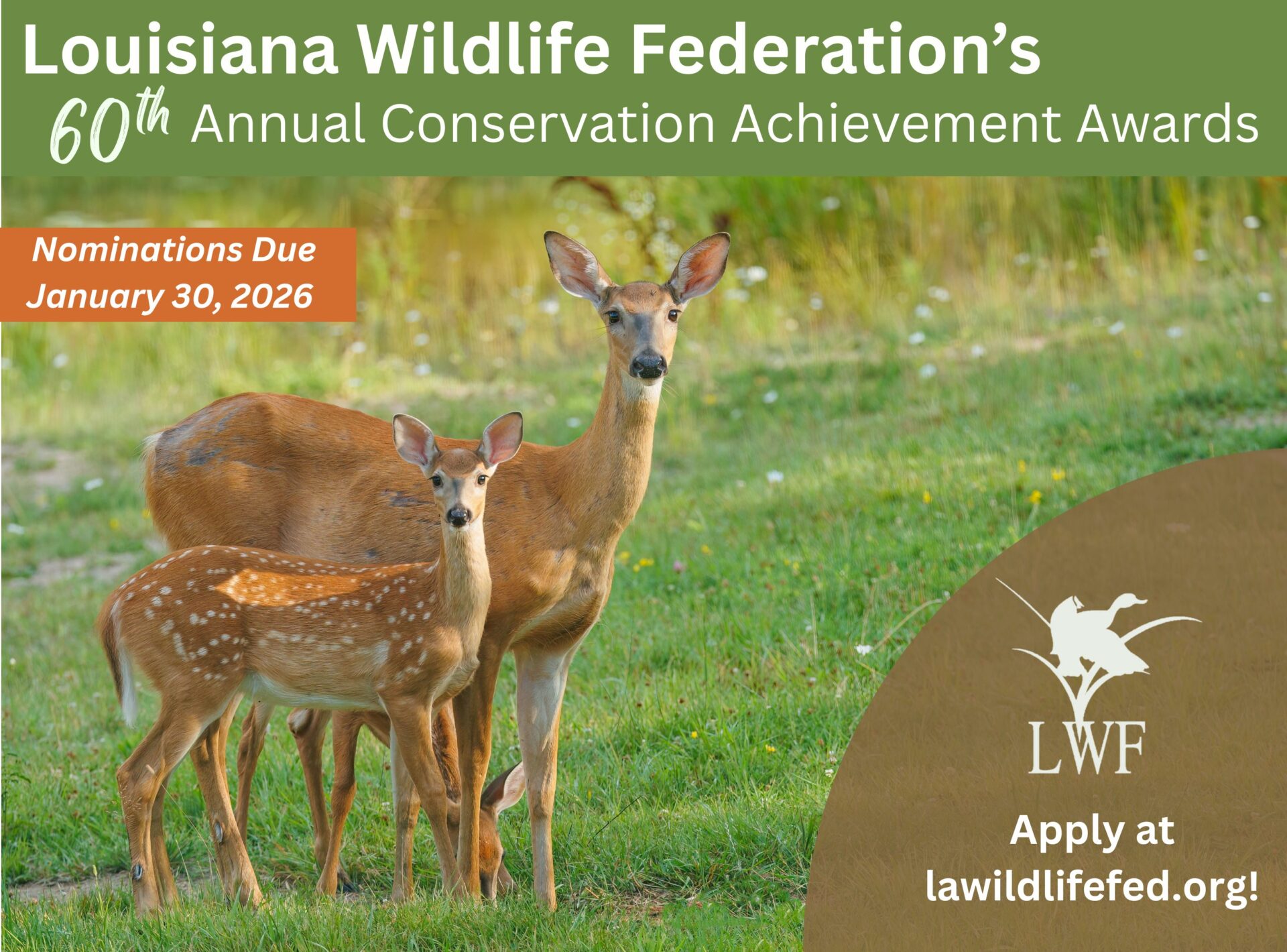 2025 Conservation Awards Website