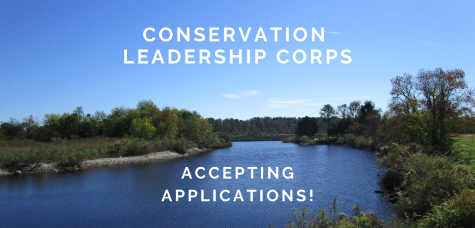 Applications Open For Conservation Leadership Corps - Louisiana ...