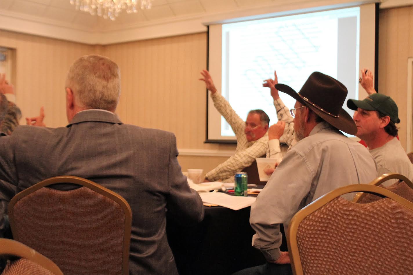 Convention2 Delegates vote on resolutions to set LWF policy.