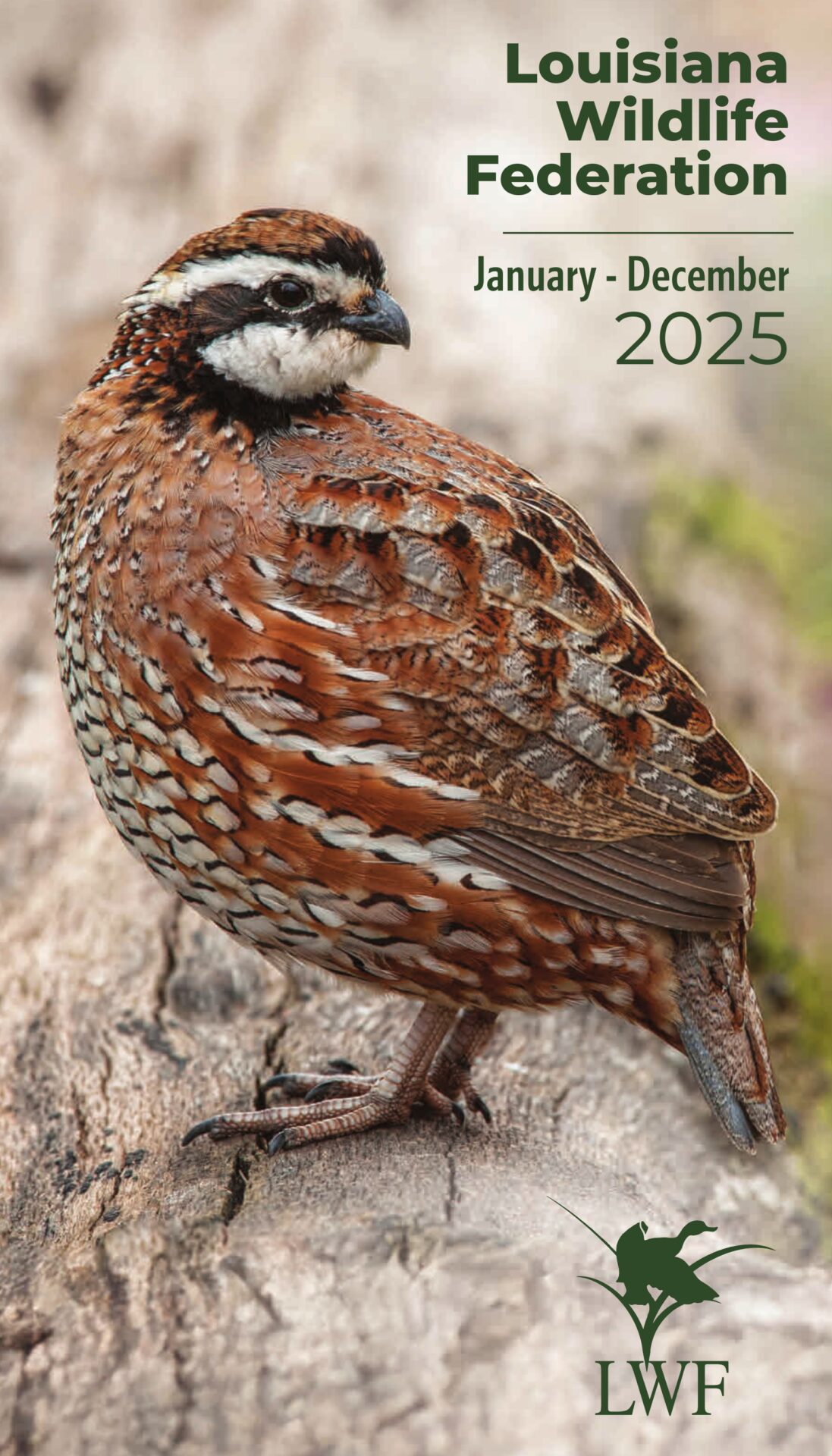 Jan-Dec-2025-page-1