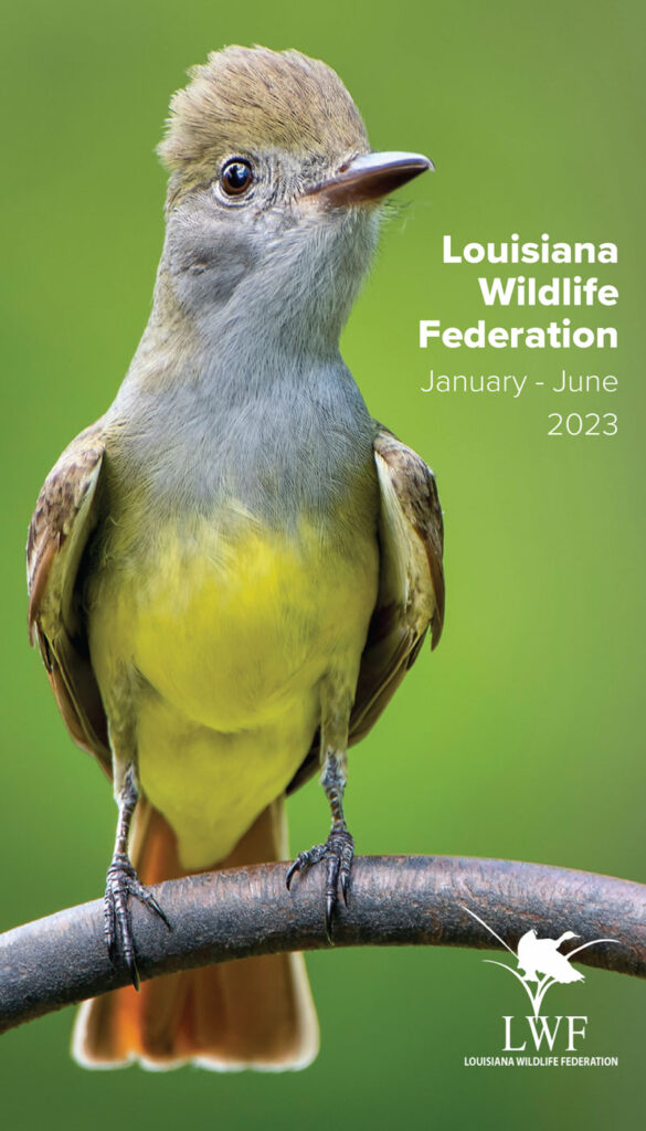 January - June 2023 newsletter cover