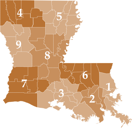 Louisiana map with district numbers