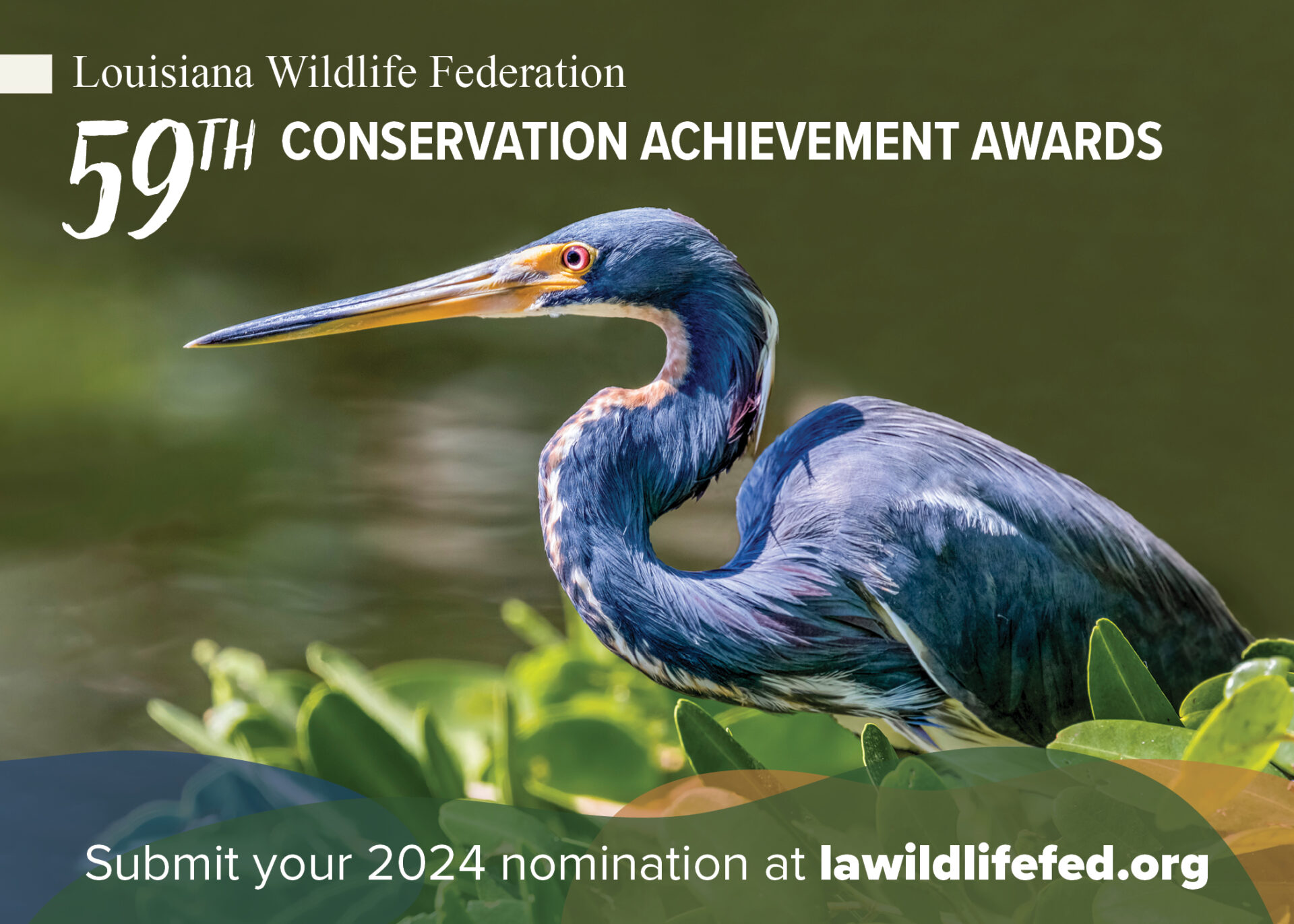 LWF Conservation Awards 2024 postcard