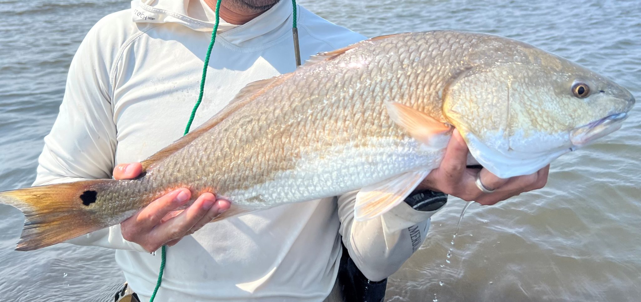 Save Red Fish Tell Governor Edwards to Save our Redfish - Louisiana Wildlife Federation