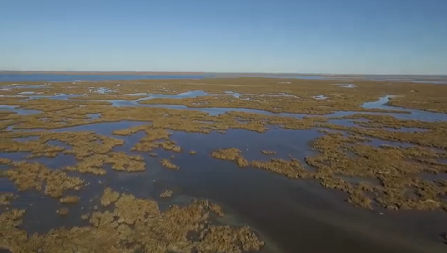 LWF comments in support of Final EIS for MidBarataria Sediment