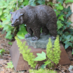 awards_bear awards_bear