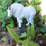 awards_goat awards_goat