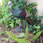 awards_turkey.jpg awards_turkey.jpg
