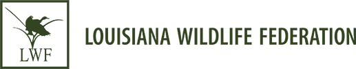 logo - Louisiana Wildlife Federation